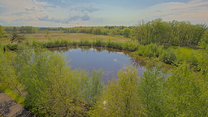  Peats lake with spring forest in Turnhoutse Vennen nature reserve, Turnhout, Flanders, Belgium. high angle view