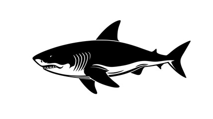 Fototapeta premium Shark gill slits visible as it passes an underwater camera, Animal Illustration