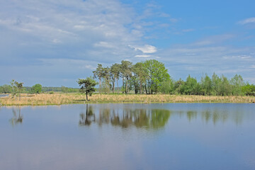 Blue lake in the heaths, with trees reflecting in the water in Turnhoutse vennen nature reserve, Turnhout, Flanders, Belgium. high angle view 