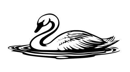 Swan preens itself, using its beak to carefully clean and smooth its feathers, Animal Vector Graphic
