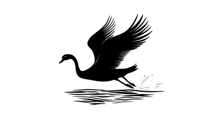 Fototapeta premium Swan rises from the water, its feet pushing off the surface, wings flapping, Animal Vector Graphic