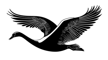 Obraz premium Swan stretches its wings, flapping gently as it prepares to take flight, Animal Vector Graphic