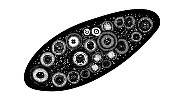 Internal organelles of a paramecium, showing contractile vacuole and micronucleus, Animal Vector Graphic