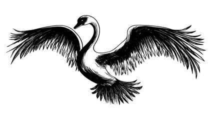 Obraz premium Swan stretches its wings, flapping gently as it prepares to take flight, Vectorized Animal Art