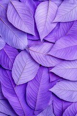 A vibrant arrangement of purple leaves creating a visually stunning pattern.
