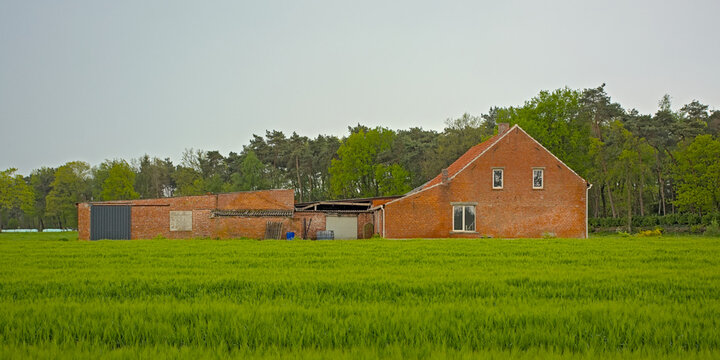 Brickwork farm buildings in a fresh green spring meadow an forest under a cloudy rainy sky near Turnhout, Flanders, Belgium 