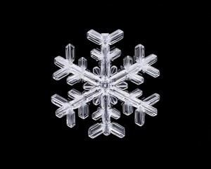 A delicate, intricately detailed snowflake against a black background, showcasing its unique crystal structure.