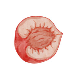 Juicy, ripe fruits of peach, nectarine. Vector graphics.