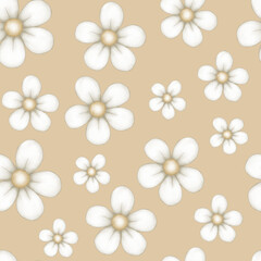 Patron sin costuras de flores blancas sin fondo y con fondo de colores - Estampado primaveral