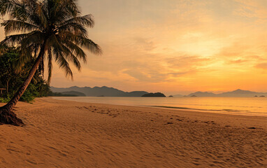 Golden Hour on Tropical Beach: Serene sunset over tranquil ocean, palm tree silhouette on sandy shore. Perfect for travel, vacation, or relaxation themes.