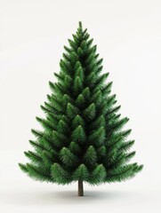 green christmas tree isolated