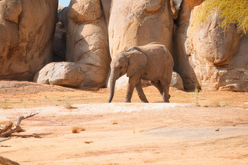 Obraz premium Generated image