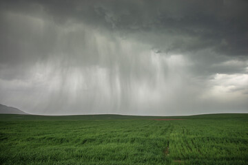 Green landscape with Cloudy Sky, Peaceful Scenic Landscape