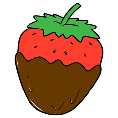 strawberry chocolate illustration hand drawn isolated vector