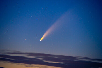 comet NEOWISE night sky  © Mark