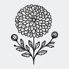 Flower Bloosm Line Art