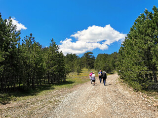 hiking in the mountains