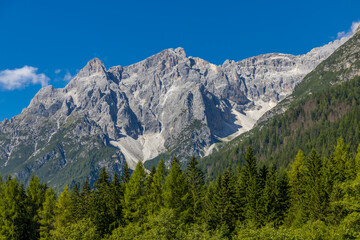 Fototapeta premium Dolomites sunny weather in summer mountains. Green valley and beautiful mountain rocky peaks in the Alps. Alpine scenic landscape in South Tyrol region in Italy