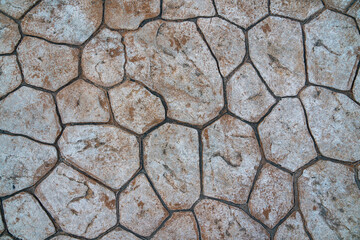 Unique Textured Ground Resembling Cracked Earth Found in Dry Landscape