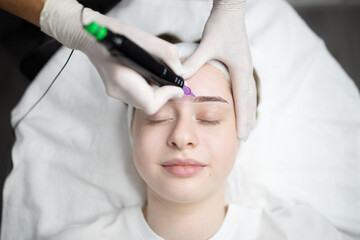 Naklejka premium Ladies are receiving pampering services at a beauty salon, focusing on a long-lasting permanent makeup procedure. Skilled professionals ensure a comfortable and relaxing experience.