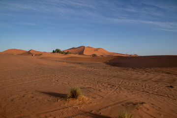 Sahara Desert