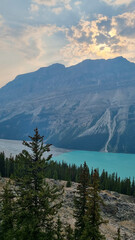 Obraz premium Peyto Lake in Banff National Park, Alberta. Glacier-fed lake with a unique wolf-head shape and vivid turquoise color. In Canadian Rockies, a popular tourist viewpoint along the Icefields Parkway.