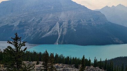 Peyto Lake in Banff National Park, Alberta. Glacier-fed lake with a unique wolf-head shape and vivid turquoise color. In Canadian Rockies, a popular tourist viewpoint along the Icefields Parkway.