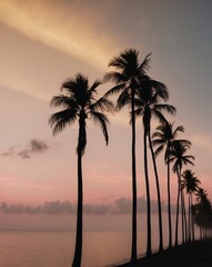 Fototapeta premium Serene Tropical Sunset with Silhouetted Palm Trees