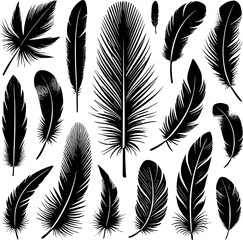 Obraz premium Detailed majestic feather collection. Feather silhouettes set.