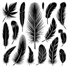 Obraz premium Detailed majestic feather collection. Feather silhouettes set. JPEG version.