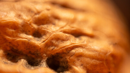 Nahaufnahme einer braunen Walnuss Schale