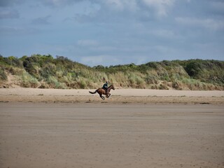 horse riding on the beach faster then wind blue sky above dunes weekend away Sunday funday