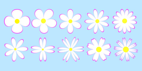 set of flowers, white flowers on blue background, pink and white daisies vector illustration