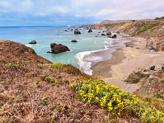 California coastal beach, rocks, and vegetation.