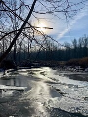 winter landscape with river