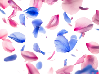 Pink and blue petals, isolated on a transparent background, depicted as falling with vibrant colors, perfect for floral, nature, or romantic-themed designs.