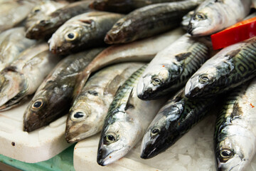 fresh fish at the local market,Costa Nova, Aveiro, Portugal