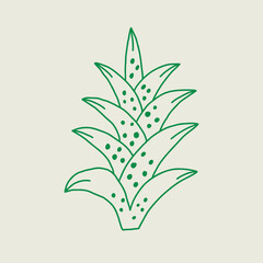 Hand Drawn Abstract Green Plant
