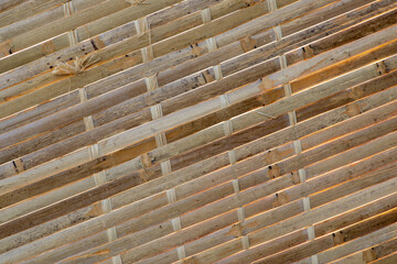 Bamboo texture