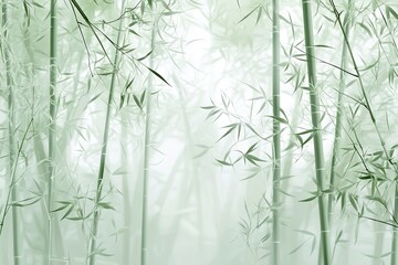 light green bamboo forest background with thin bamboo stalks and soft light filtering through leaves creating organic