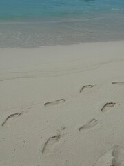 footprints in sand on a beach