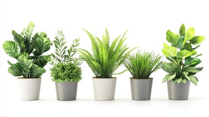 Obraz premium Five Potted Plants in a Row - A Fresh, Green Home Decor