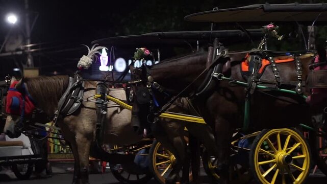 Delman pulled by a horse is a traditional transportation that is still operating today in the Malioboro area Yogyakarta