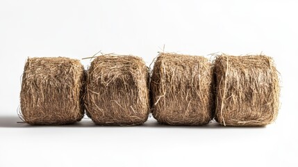 Hay Bales - A Simple Rural Composition