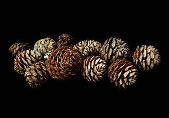 Moody Pine Cones for Rustic Decor
