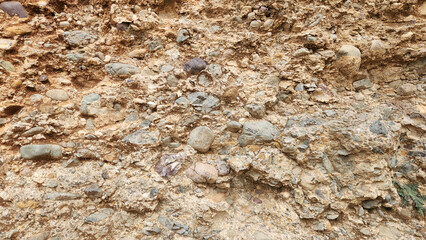 Conglomerate rock is a coarse-grained sedimentary rock composed of rounded fragments bound together by a matrix. It forms through lithification of gravel.