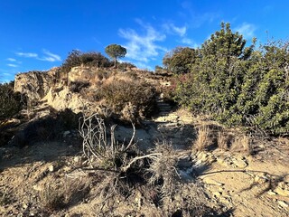 sandy slope of a small hill with bushes