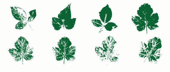 Natural leaves imprint, Grunge style, Vector, Isolated, Decorative elements for design