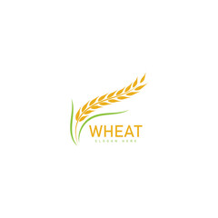 Agriculture wheat Logo Template vector icon design