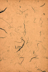 This is Japanese washi paper with a natural beige tone and organic, handmade texture. Abstract background, wallpaper. Traditional beautiful arts and crafts.